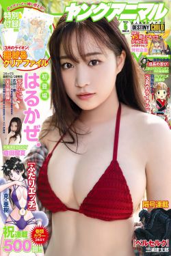 斗罗大陆218免费完整观看视频